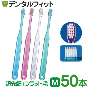 y|Cg5{ 11/1 0:00-23:59zCi AVXg ז+tbg / Mӂ 50{yCifBJ uVz