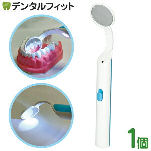 LED デンタル ミラー 1個 ライト付き 口腔チェック 口腔ケア 曇り止め 家庭用 歯垢チェック 虫歯 ホームケア 軽量 (メール便5点まで)【メール便選択で送料無料】