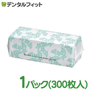 Z y[p[^IĐLight / 1pbN(300) Đ100 G{XH nCA pbP[W