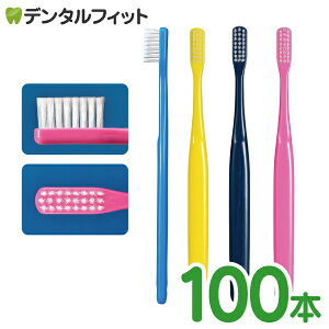 Ci 102AD / Mӂ 100{yCifBJ uVz