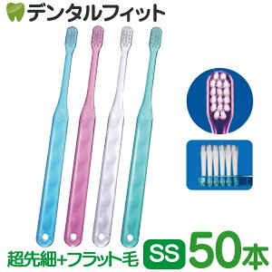 y|Cg5{ 11/1 0:00-23:59zCi AVXg ז+tbg / SS炩 50{yCi fBJ uVz