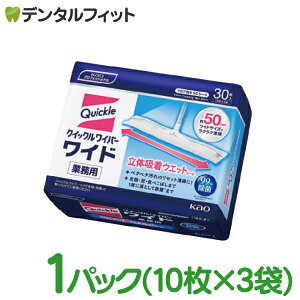 y|Cg5{ 11/1 0:00-23:59zԉ NCbNCp[ Ch ̋zEGbgV[g 1pbN(10×3) 芷p 芷V[g Ɩp ƒp V[g EFbg Ch t[O 