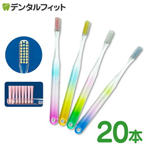 Ci x[VbN C{[ tbg Mӂ 20{ ^ uV { NAyCifBJ uVz ([1_܂)y[֑Iőz