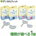 【★ポイント5倍 8/14 0:00 - 8/18 23:59】チューイングブラシ 1個 (大人用柄付/大人用/子ども用柄付/子ども用) 藤原…