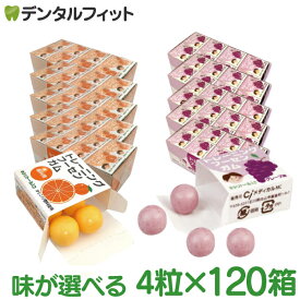 キシリトールガム 歯科専用 トレーニング フーセンガム(4粒×120箱) グレープ味/オレンジ味 風船ガム キシリトール配合 ぶどう風 まとめ買い【送料無料】