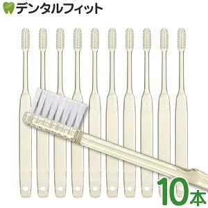 y40|CgobN 12/16 9:59 z_ȗpŃGRfނ̎uVoꂵ܂I^Ci Bio(oCI) uV 10{ т̂ Mӂ ɂ₳ ARgp SDGs GRfށy[