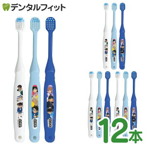 qǂpuV 炩 6Έȏ TRi 1/12{ B-602 GrX EBiSU q uV yz