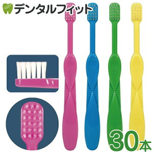 uV q Ci LbY Mӂ 30{yCifBJz([1_)y[֑Iőz