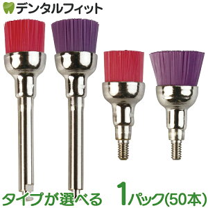 vtB[uV 1pbN(50{) [bpőlC̃J[hvtB[uV CMX CifBJ fBJ CA/\tg CA/~fBA XN[/\tg XN[/~fBA