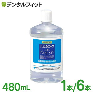  nsJG[X p t̃n~KL 480ml 1{ / 6{ n[u~g nsJV[Y Ȑꔄi t 򕔊Oi ypnsJAJz