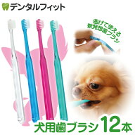 犬用 歯ブラシ / Ci シュワワ / 4色アソート/12本セット【Ciメディカル 歯ブラシ】 (メール便2点まで)【…