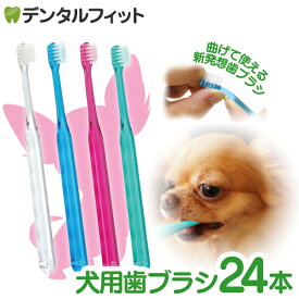 犬用 歯ブラシ / Ci シュワワ / 4色アソート/24本セット【Ciメディカル 歯ブラシ】
