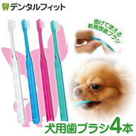 犬用 歯ブラシ / Ci シュワワ / 4本セット（4色アソート）【Ciメディカル 歯ブラシ】（メール便8点まで）…