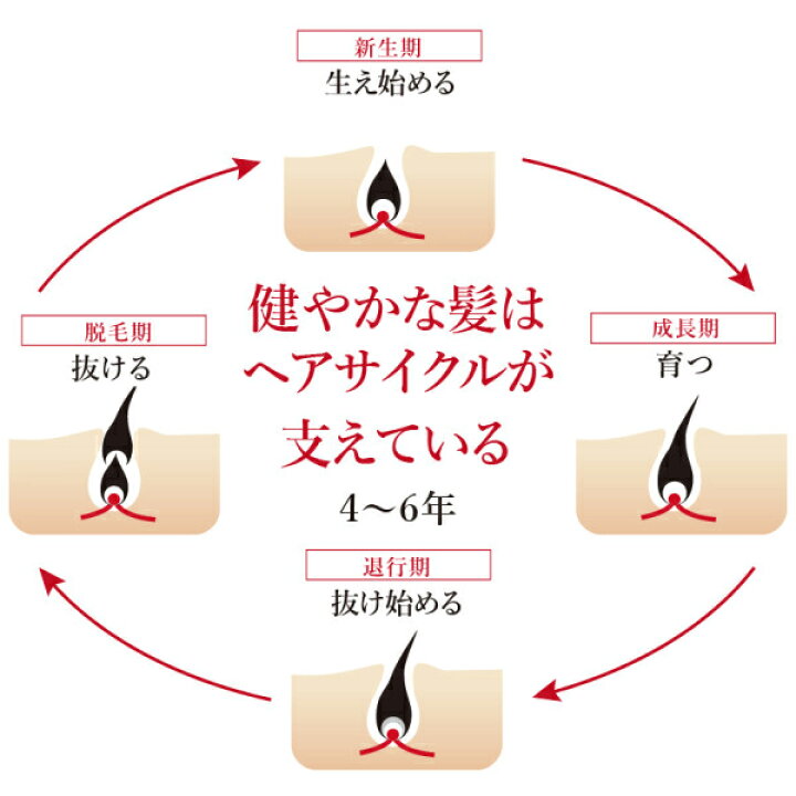 楽天市場】【☆ポイント5倍 11/14 10:00-11/16 23:59迄】【送料無料 