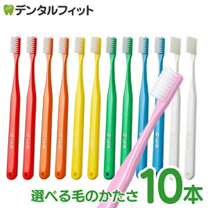 �y���|�C���g5�{ 1/1 0:00-1/5 23:59���z���u���V �^�t�g24 10�{�Z�b�g �I�[�����P�A ���Ȉ�@�p�n�u���V�^tuft24�i���[����4�_�܂Łj�y���[���֑I���ő��������z