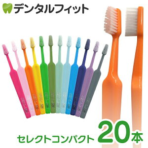 Tepe ey uV ZNgRpNg ^\tg 20{ ([2_܂)y[֑Iőz