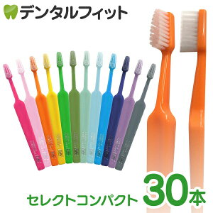 y|Cg5{ 11/1 0:00-23:59zTepe ey uV ZNgRpNg ^\tg 30{ yz