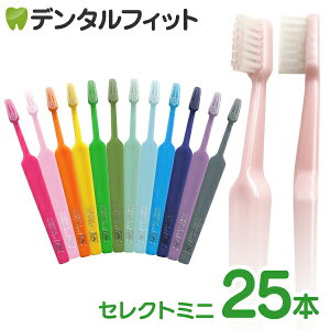 y|Cg5{ 11/1 0:00-23:59zTepe ey uV ZNg~j^GNXg\tg 25{/ yz