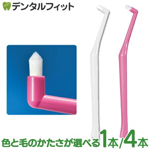 I[PA vEg J[uzCg/sNv1{/4{ { ^tguV uV MS~fBA\tg/S\tg ^tguV Ȑp a ԃuV 