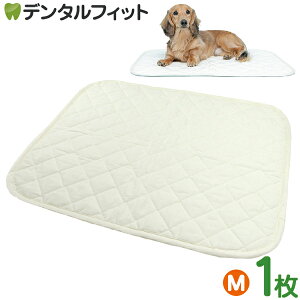 y|Cg5{ 11/1 0:00-23:59zxbhɂgL}bg MTCY(50×60cm) 1 HappyDays nbs[fCY ybgV[c L}bg ېOK 􂦂 R ybg}bg ybgpxbh ybg