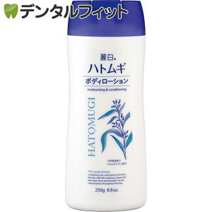 픒 ngM{fB[V 250g F XLPA