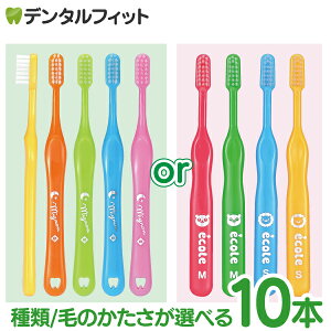 qp uVuZ GRvu~jvMӂ/S炩 10{Zbg c c`w LbY ۈ牀 ct yCifBJ uVzi[4_܂Łjy[֑I