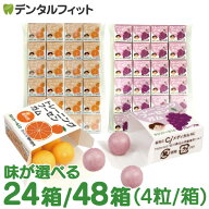 キシリトールガム 歯科専用 トレーニング フーセンガム 24箱/48箱(4粒/箱) グレープ味/オレンジ味 風船ガ…