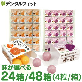 キシリトールガム 歯科専用 トレーニング フーセンガム 24箱/48箱(4粒/箱) グレープ味/オレンジ味 風船ガム キシリトール配合 ぶどう風味 【メール便選択で送料無料】