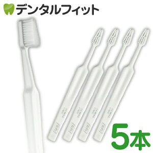 Tepe ey uV WFgPA 5{ (zCg)y[֑Iőz