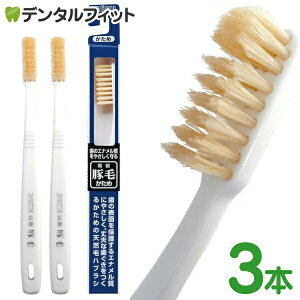 GrX ؖюuV  3{Zbg ̃Gi₳鍂ؖюuV EBiSU B-T35 VRт̃nuV R^Jbg̐[WAтŎCɗDꂽʂ𔭊 zCg F(