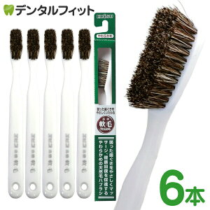 GrX юuV 炩 6{Zbg ₳鍂юuV EBiSU B-N35 VRт̃nuV ₩ɃJ[uAтsɃtBbg zCg F([