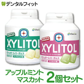【送料無料】オーラルケア キシリトールガム 歯科用 ボトルタイプ 2個セット 153g(90粒相当) アップルミント/マスカット ボトルガム