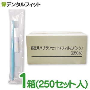 y10|CgobN 10/31 9:59 z_Cg nj[r[24 uV 1(250{) u[ 4 24^tg AjeB ~jܕtZbg X[wbh e ܂Ƃߔ AEghA Ɩ