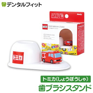 uVX^h (h/g~J) TC-3554 1ynV[ gbvC Hashy ͂炭 傤ڂ nuV y ӗ 킢 Mtg v[g jɁz