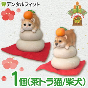 yGg[ƓX3_wP10{(11/4 20:00-11/11 1:59)zݏ L/ 1 IuWF gL Č WooBia E[rA ̌ւ VN  ֏ p }V 킢  