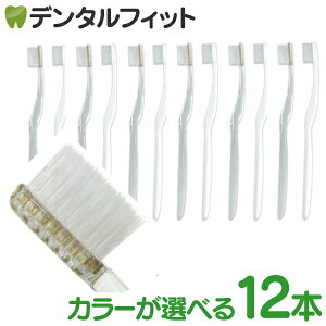 CORAFTURE Prio Rt`[ vI uV12{Zbg(zCg/NA) ӂ e[p[ { RpNg  Vv yz