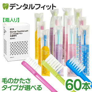 Daito _Cg f^ uV 1(60{) tbgсiӂ/炩߁j/ אAсiӂj/ qǂpitbgсE炩߁jy3FA\[g u[ sN O[ 321^tgz