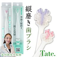 Tate.縦磨き歯ブラシ 選べるサイズ(レギュラー/ミニ)と本数(1本/2本/3本/5本)【歯科衛生士監修 タテ磨き …