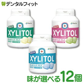 【★店内全品ポイント3倍(2/16)】キシリトールガム 歯科専用 オーラルケア ボトルタイプ 12個セット (153g(90粒相当)/1個) ボトルガム 歯科用【送料無料】