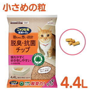 yGg[ƓX3_wP10{(11/4 20:00-11/11 1:59)zjƂgCELERۃ`bvi傫ڂ̗ / ߂̗ / ɏ̗j 1܁i4.4L / 2.5LjyGXe[ e Lp gC 