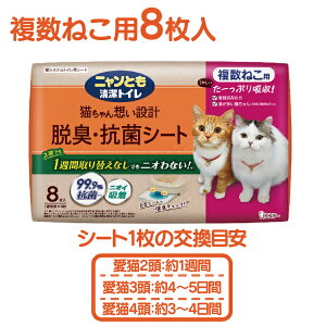 yGg[P5{ 12/4-12/11zjƂgCELERۃV[g i8/12/˂p8jyGXe[ Lp VXegCpzV[g ELV[g ͏Lz