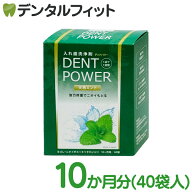 入れ歯洗浄剤 デントパワー 10ヶ月用 40袋入り(メール便2点まで) 1箱【メール便選択で送料無料】