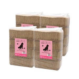 y|Cg5{ 11/19 23:59zRXp^ybgV[c M[ / Ch / X[p[Ch