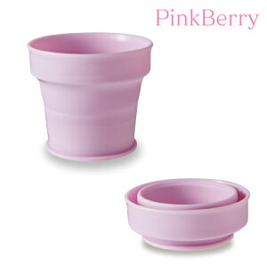 ɐ ߂gтRbv 1 [P[Xt izCg/~gO[/sNx[)yISETO Jbv pRbv  gїp sp  pXeJ[