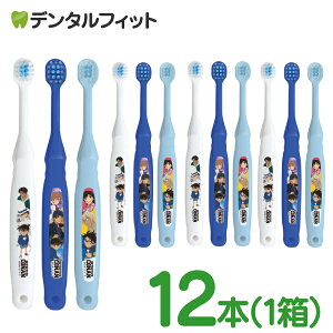 qǂpuV 2`6Ό TRi 12{ / GrX EBiSU q uV yz