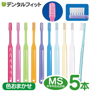 Ci PRO ^ MS炩5{yCifBJ uV {zJ[͓X܂ł