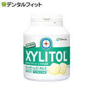 キシリトールガム 歯科専用 オーラルケア ボトルタイプ アップルミント 1個(153g(90粒相当)) 歯科用 【送…