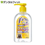 健栄製薬 手ピカジェルプラス 1本(300mL) 指定医薬部外品