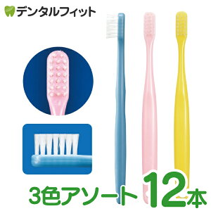 Ci Jr.(ジュニア)歯ブラシ 12本 3色アソート スリムヘッド 小学校高学年から中学生【メール便選択で送料無料】