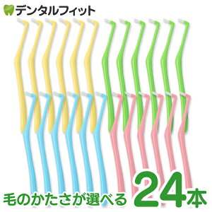 uV ^tg I[PA { ^tguV s[LA 24{Zbg (\tg(S) / O\tg(LS) / ~fBA(M)) J[͓X܂ƂȂ܂ yz